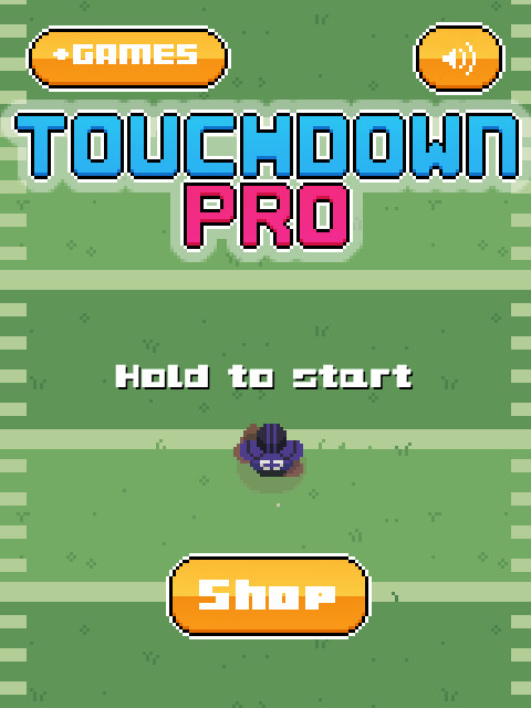 Touchdown Pro