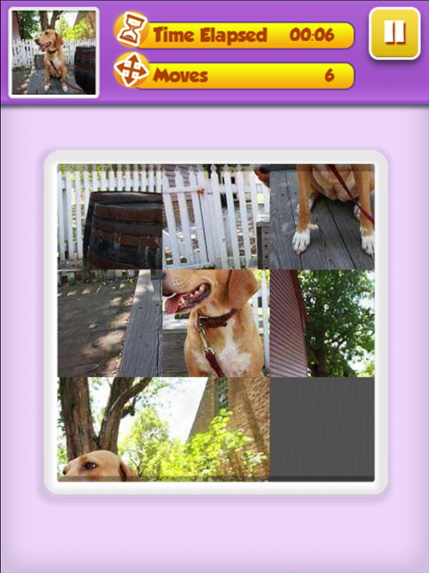 Picture Slider - Animals